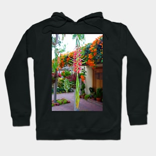 Sherman Gardens Study 32 Hoodie